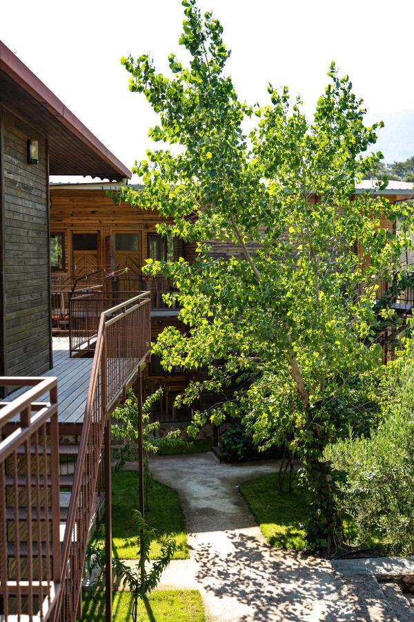 Olimpia Hotel Olympos Exterior foto